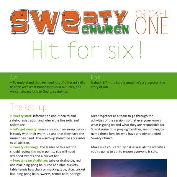 Cricket 1: Hit for six