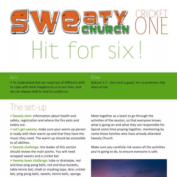 Cricket 1: Hit for six