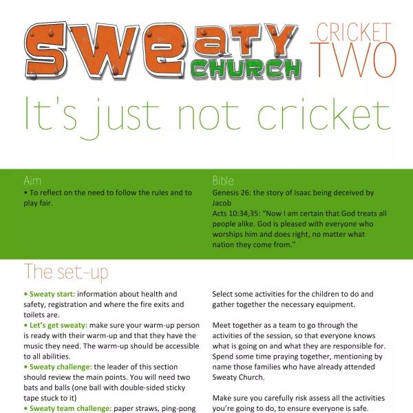Cricket 2: It's just not cricket