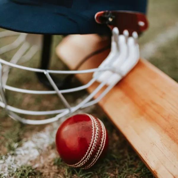 Cricket bat and ball