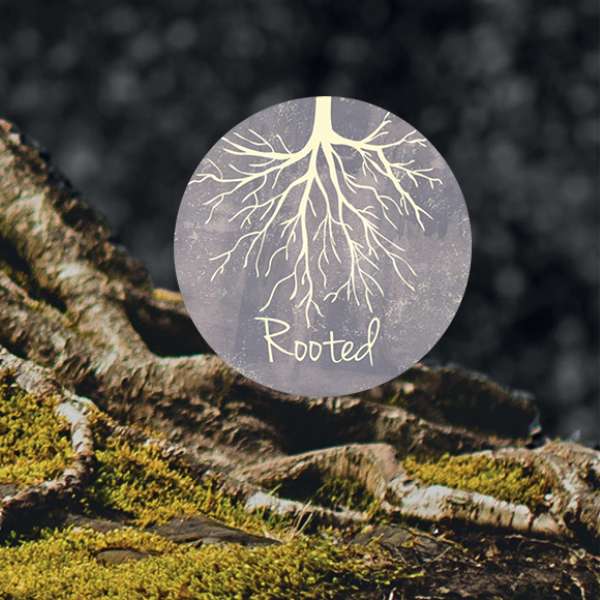 Rooted