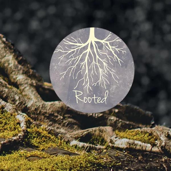 Rooted