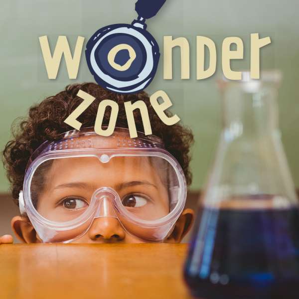 Wonder Zone