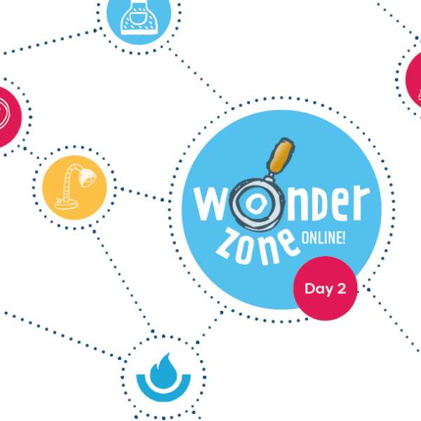 Wonder Zone Online! Session 2: The wonders of the universe cover