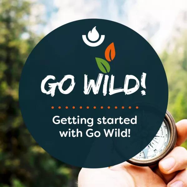 Getting started with Go Wild