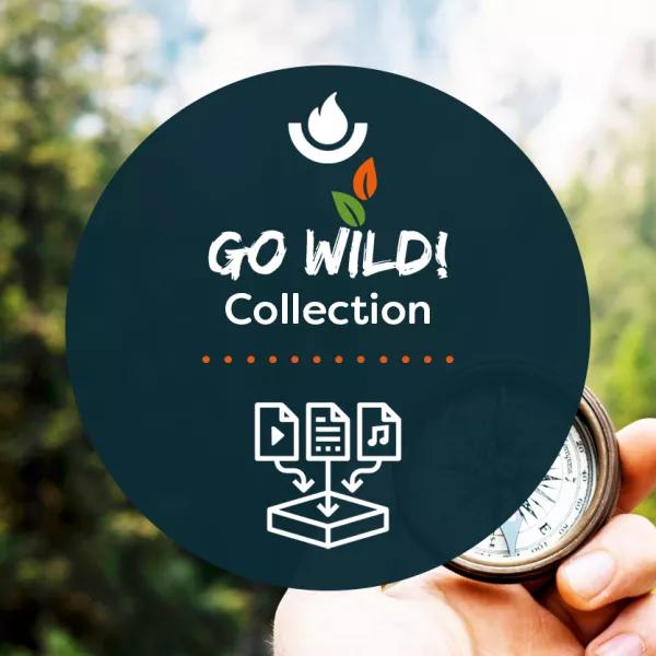 Go Wild Collection 2020