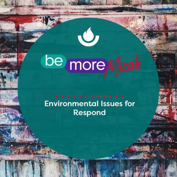 Environmental Issues for Respond 