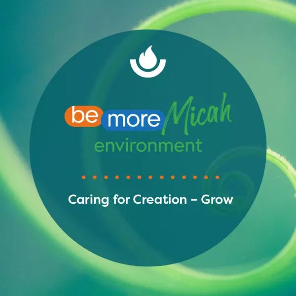 Caring for Creation – Grow 