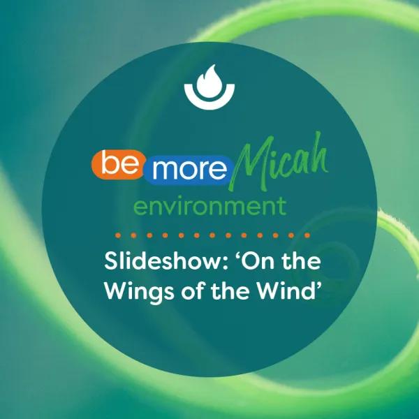 Slideshow: ‘On the Wings of the Wind’