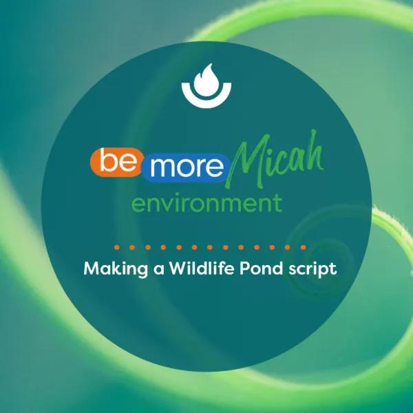 Making a Wildlife Pond script