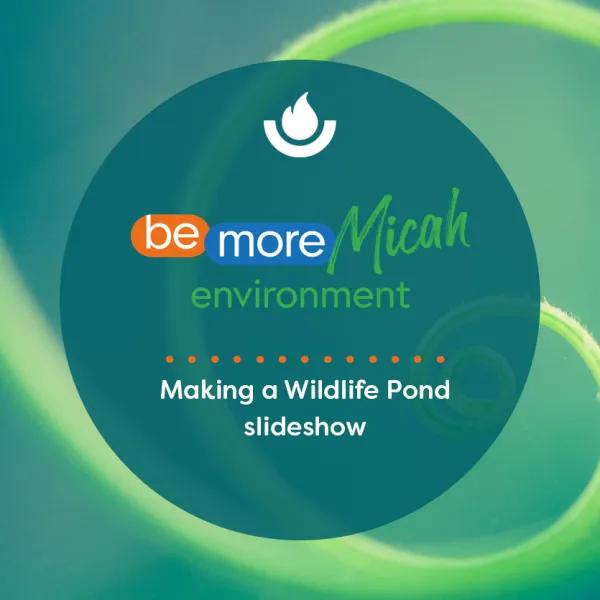 Making a Wildlife Pond slideshow