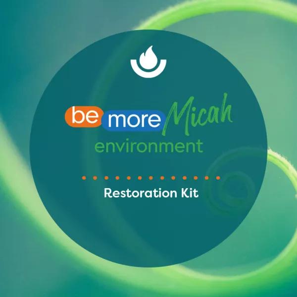 Restoration Kit