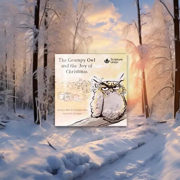 Grumpy Owl Winter Scene 