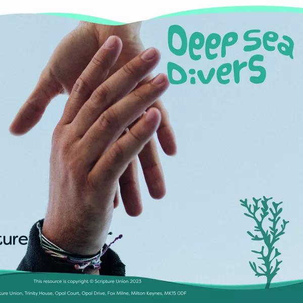 Dive 2 Images
