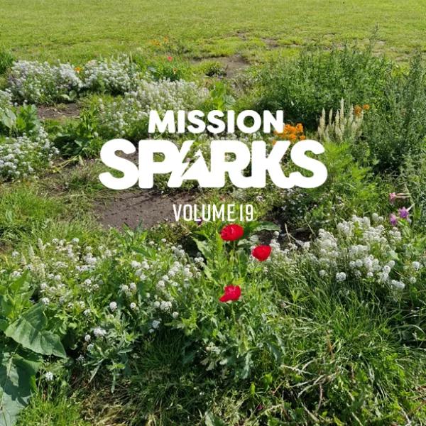 Mission Sparks Vol 19