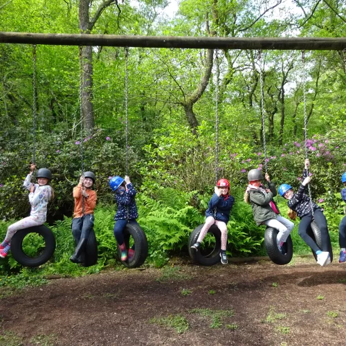 Seven children on tyre swings