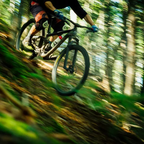 Mountain biker racing down a slope