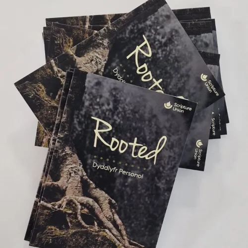 Rooted Journal Welsh Cover