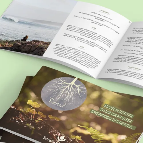 Rooted Leaders Guide Welsh Cover