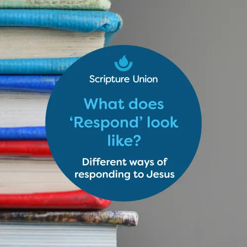 What does respond look like cover
