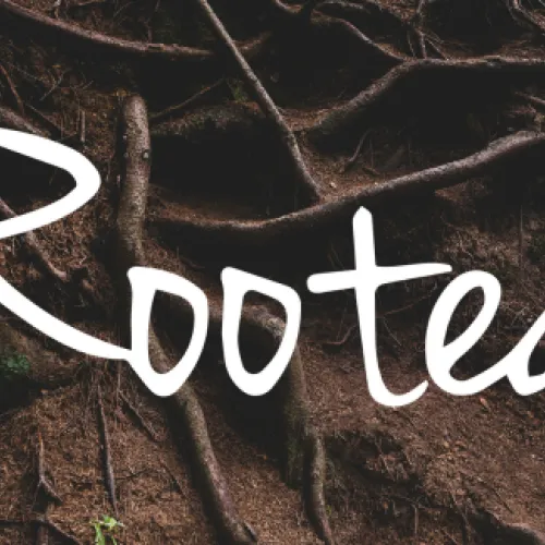 Rooted resources