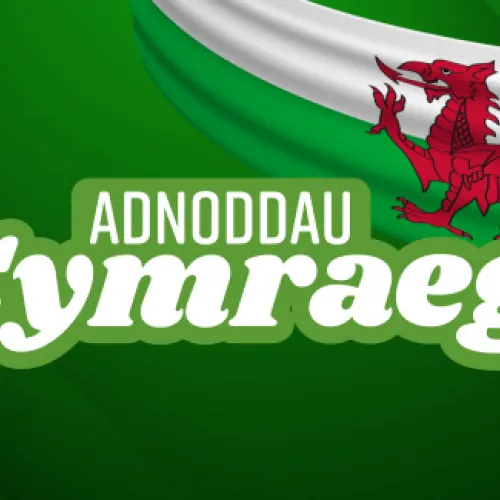 Adnoddau Cymraeg